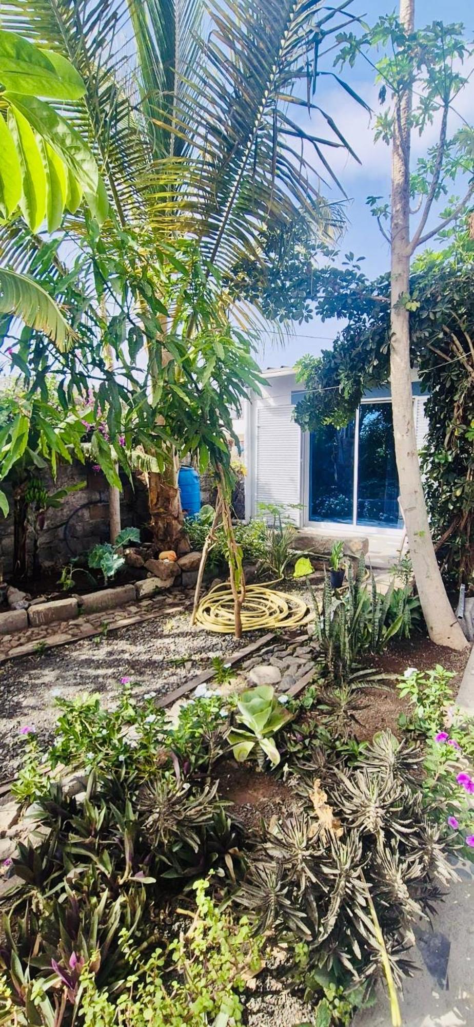 Casa Chiquinha Apartment Ribeira da Prata Exterior photo
